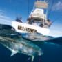 Coral Coast Charters