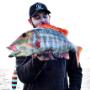 Handmade Stick baits
