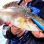 Handmade Timber Lures