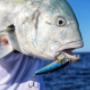 Metal Jigs