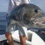 Metal Jigs