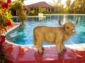 Highland Cow Statue