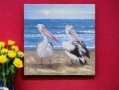 Framed Pelicans Canvas Print