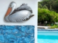 Pelican Swimming Wall Art
