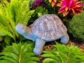 Garden Turtle Statue
