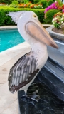 Percy Pelican Statue