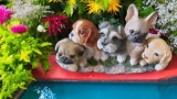 Five Puppies Statue