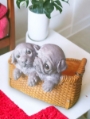 Two Dogs In Basket Statue