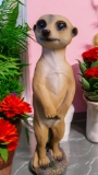 Single Meerkat Statue
