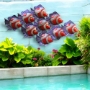 Large School Of Spikey Fish Wall Art