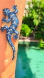 Large Blue Gecko Wall Art
