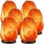 himalayan lamps