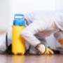 Dining Room Pest Control