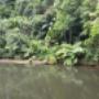 Environmental Planning Consultants
