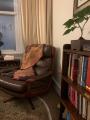 Psychotherapy