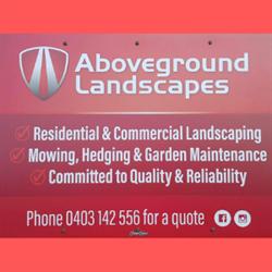 Aboveground Landscapes