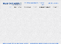 Blue Auto Chip's website