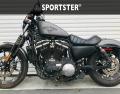 Sportster-2004-2020-3-0-D