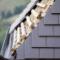 Roof-Restoration