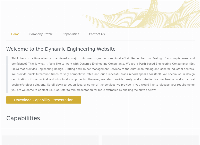 Dynamic Engineering Consultants's website