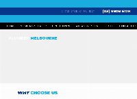 WP Plumbing's website