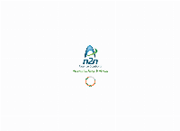 n2n Finance Solution