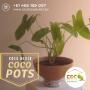 Coco Pot