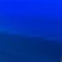 bnc online