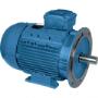 0.75kW 4 pole, 80 frame, foot & flange mount, W21