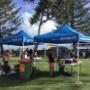 Solicitors in Beenleigh