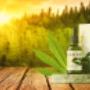 Buy Hemp Oil Australia