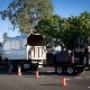Aussie Tree Lopping Wollongong