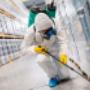 Pest Control Gold Coast