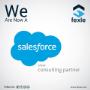 Salesforce Silver Consulting partner