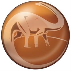 The National Dinosaur Museum