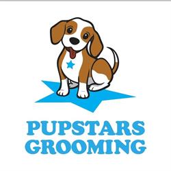 Pupstars Grooming