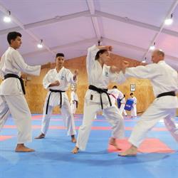Australian Academy Of Martial Arts Karate-Do Club Inc. - AAMA