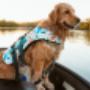 M swim jacket