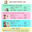 Doggie Playmates Daycare Price List