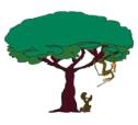 Adelaide Tree Removals