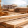 Boards On Timber Mill Ware House
