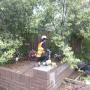 Reed Plumbing and Drainage Solutions