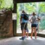 Area attraction