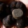 Black Truffle