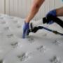 Mattress Mould Removal