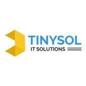 Tinysol IT Solutions - Digital Marketing Agency