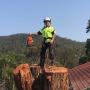 Tree Experts