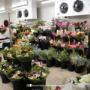 SSFM Logan City Flowers