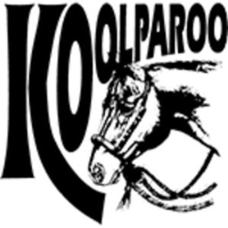 Koolparoo