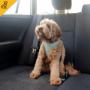 Dog Seat Belt for Small Dogs